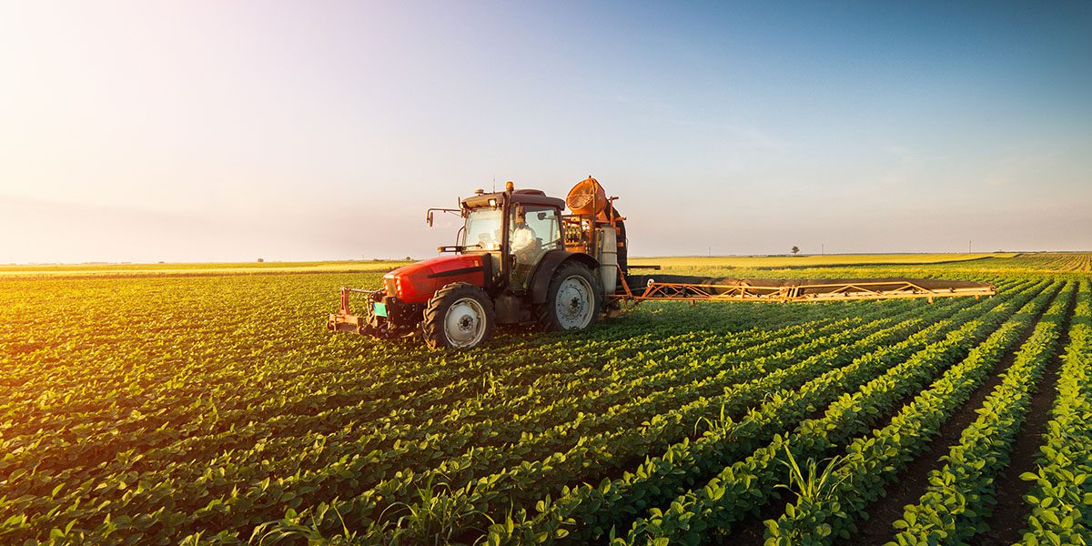 Green gas for businesses