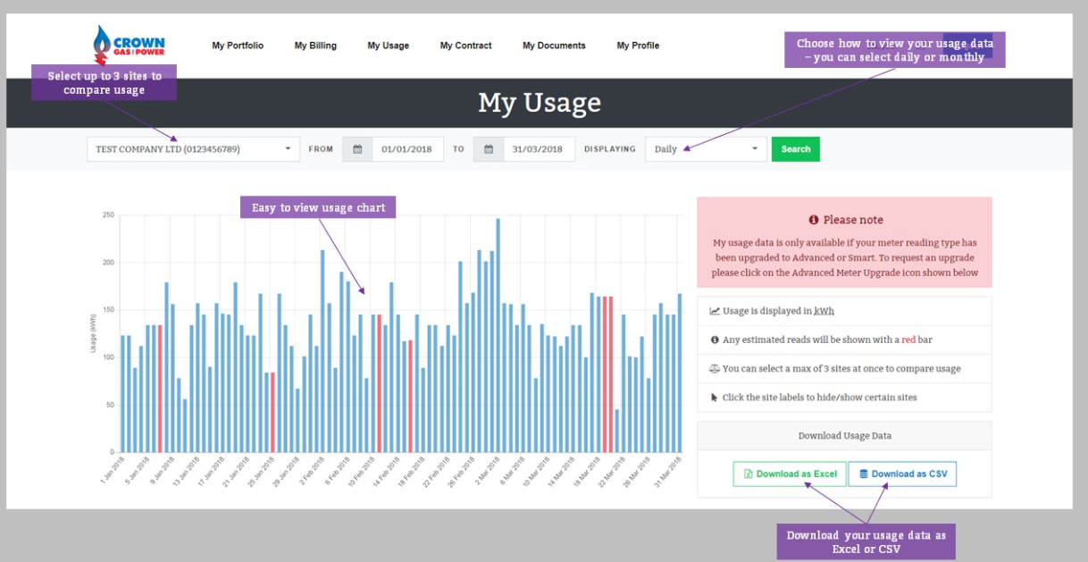 The view of your energy consumption data on our online portal